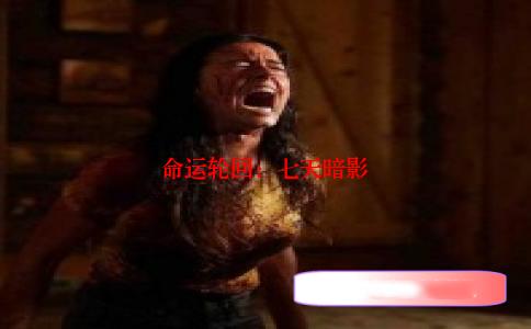 命运轮回：七天暗影