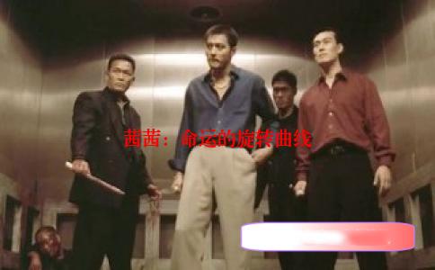 茜茜：命运的旋转曲线